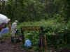 20020821Machame1.JPG (64099 bytes)