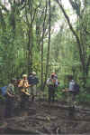 20020821Machame3.JPG (64057 bytes)