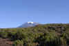 20020829Rau.JPG (34920 bytes)