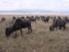 20020830NgoCrater1.JPG (47348 bytes)
