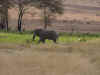 20020831NgoCrater5.JPG (47113 bytes)
