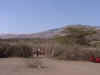 20020901Masai1.JPG (30604 bytes)