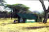 20020903Serengeti12.jpg (59217 bytes)